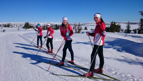 bilde fjellet